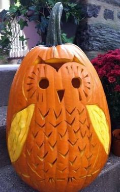 an owl pumpkin carved to look like it has been carved into the shape of a pumpkin