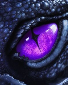 the eye of a dragon with purple eyes