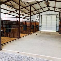 the inside of a building with lots of caged animals