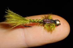 a tiny green and yellow insect on a persons finger