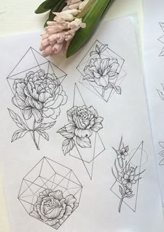 an image of some flowers on top of paper