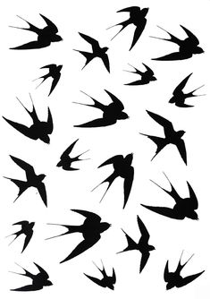 a flock of birds flying in the air with their beaks extended and spread out