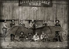 a group of men standing next to each other in front of a building with large bats on it