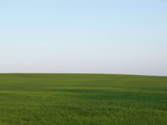 a person flying a kite in the middle of a large green field with blue sky