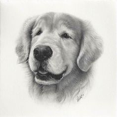 a black and white drawing of a dog