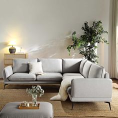 a living room filled with furniture and a large plant in the middle of the room