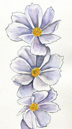 three white flowers with yellow centers are shown in this watercolor painting on paper,