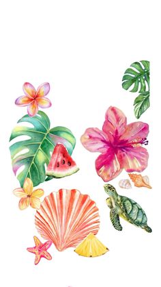 watercolor painting of tropical flowers and seashells