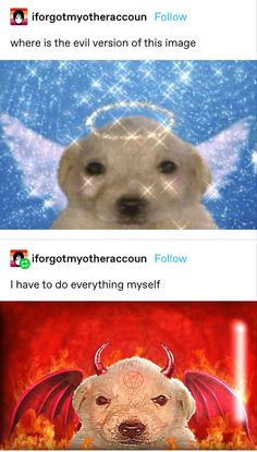 two pictures one with a dog and the other with an angel on it's face