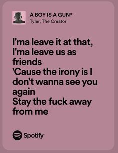 a pink background with the words, i'm leave it at that friends cause the irony is i don't wanna see you again stay the f