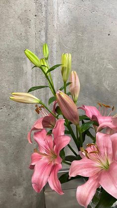 a vase filled with pink lilies on top of a table next to a wall