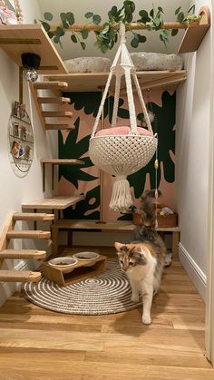 a cat walking up the stairs in a room with a hammock hanging from it's ceiling