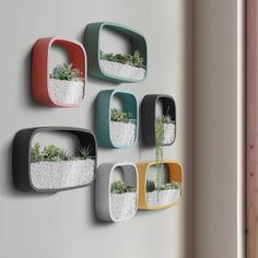 a wall mounted planter with succulents and rocks in the shape of rectangles