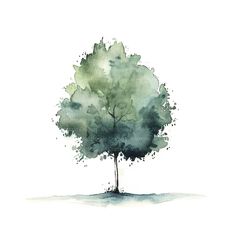 a watercolor painting of a green tree