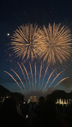 fireworks are lit up in the night sky