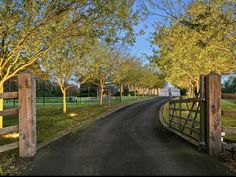 an open gate leading to a road with trees on both sides and green grass in the background