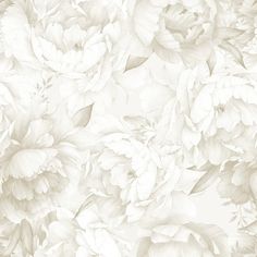 a white floral wallpaper with lots of flowers