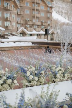 some flowers are sitting in front of a building with snow on the ground and trees