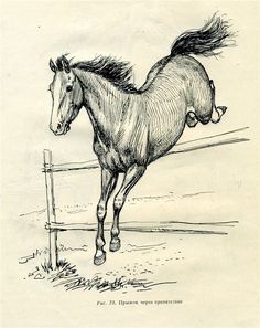 a drawing of a horse jumping over a fence