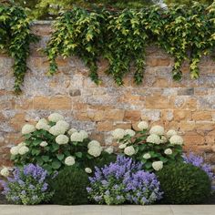 several different types of flowers in front of a brick wall