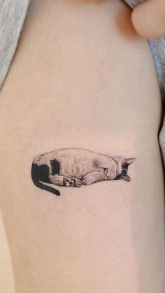 a black and white cat tattoo on the right side of the thigh, it is laying down