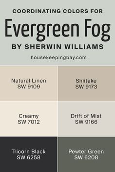 Evergreen Fog SW 9130 by Sherwin Williams | Coordinating Colors Tricorn Black And Green, Drift Of Mist Coordinating Colors, Natural Linen Color Palette, Creamy Sherwin Williams, Pewter Green Sw, Drift Of Mist, Sherwin Williams Creamy, Paint Combos