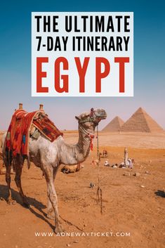 a camel in the desert with text reading the perfect 1 - 2 - week itinerary egypt