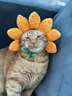 a cat wearing a crocheted sunflower hat