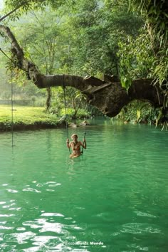 a man hanging from a tree in the water