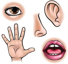 an image of different facial expressions on a person's face and hand with fingers