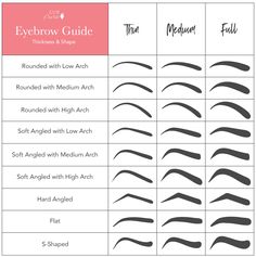 Eyebrow Brush - The Secret to Eyebrow Shaping? Womens Eyebrows Shape, Eyebrow Shapes For Microblading, Eyebrow Styles Women, Microbladed Eyebrow Shapes, Shallow Arch Eyebrow, How To Pluck Straight Eyebrows, Micro Blading Eyebrow Shapes, Eyebrow Shapes Chart, Eyebrow Chart