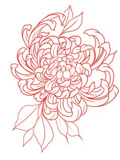 a drawing of a large flower with leaves on it's petals and the center is red