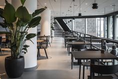 an empty restaurant with tables and chairs next to a plant in the middle of the room