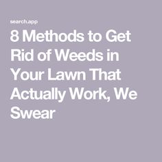 the words 8 method to get rid of weeds in your lawn that actually work, we swear