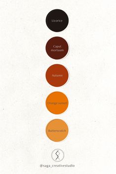 the color wheel is shown with different colors in each section, including oranges and browns