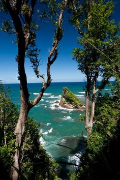 the ocean is surrounded by trees and rocks