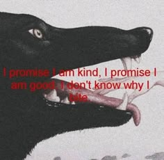 a black dog with its mouth open and the words i promise i am kind, i promise i am good, don't know why i bite