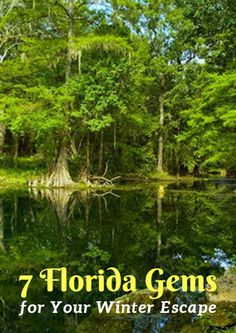 a lake surrounded by trees with the words 7 florida gems for your winter escape