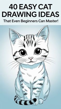 the front cover of 40 easy cat drawing ideas that even beginners can master