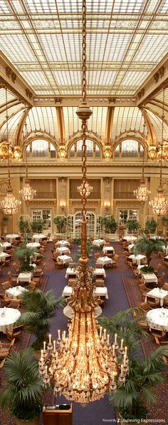 an ornate dining hall with chandeliers and tables in it, surrounded by palm trees