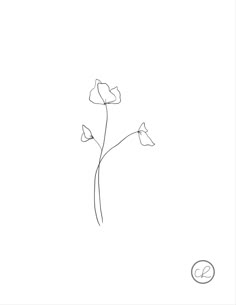 a line drawing of three flowers on a white background