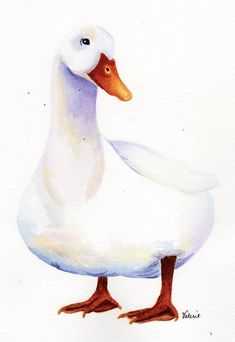 a watercolor painting of a white duck