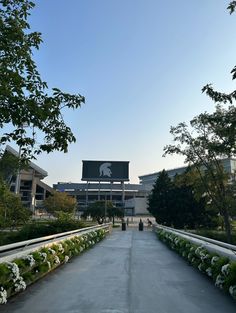 an empty walkway leading to a stadium with flowers in the foreground