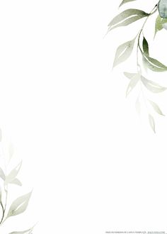 a white background with green leaves on it