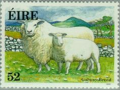 a stamp with two sheep standing next to each other