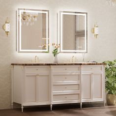 a bathroom with two sinks, mirrors and a potted plant on the counter top