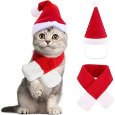 a cat wearing a santa hat, scarf and bandana with other items around it