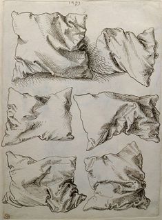 four drawings of different shapes and sizes of shells on white paper, each with black ink