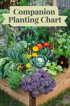 a wooden planter filled with lots of different types of flowers and plants in it