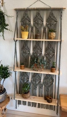 a shelf with plants and potted plants on it